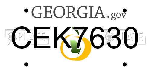 CEK7630 Georgia License Plate