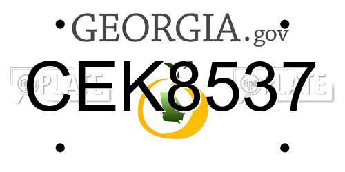 CEK8537 Georgia License Plate