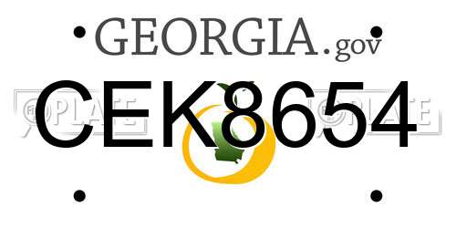CEK8654 Georgia License Plate
