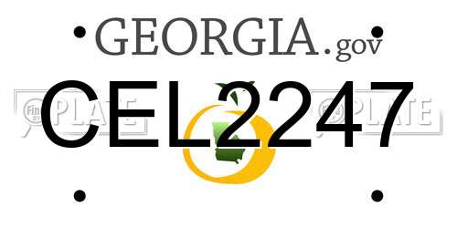 CEL2247 Georgia License Plate