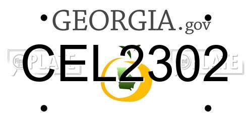 CEL2302 Georgia License Plate