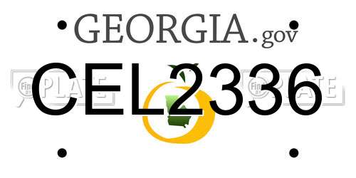 CEL2336 Georgia License Plate