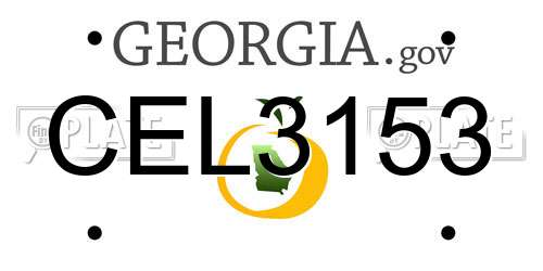 CEL3153 Georgia License Plate