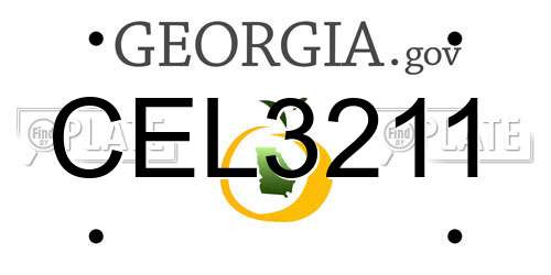 CEL3211 Georgia License Plate