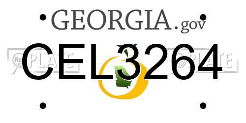 CEL3264 Georgia License Plate