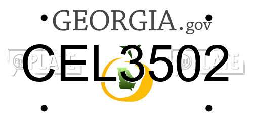CEL3502 Georgia License Plate