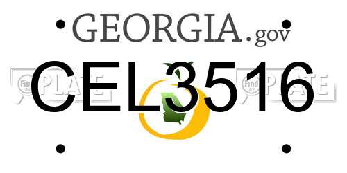 CEL3516 Georgia License Plate