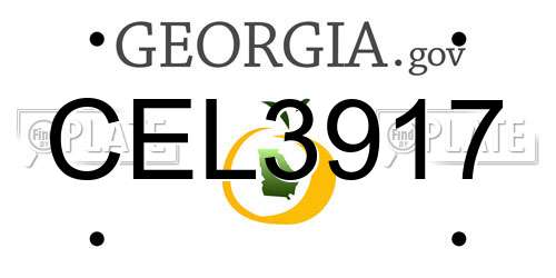 CEL3917 Georgia License Plate
