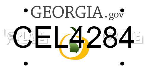 CEL4284 Georgia License Plate