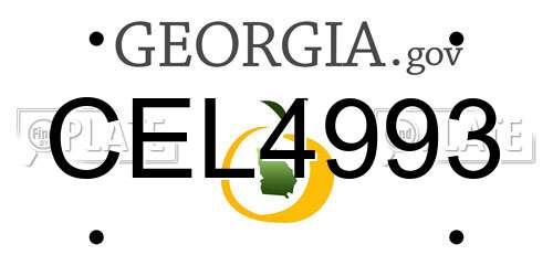 CEL4993 Georgia License Plate
