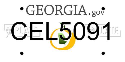 CEL5091 Georgia License Plate