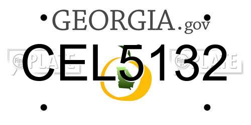 CEL5132 Georgia License Plate