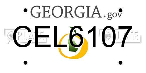 CEL6107 Georgia License Plate