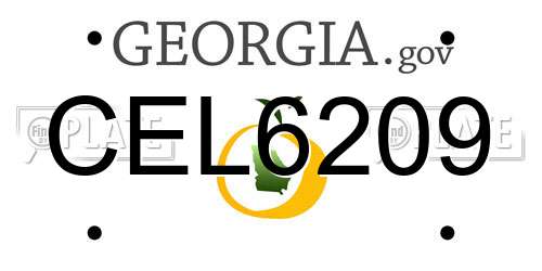 CEL6209 Georgia License Plate