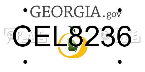 CEL8236 Georgia License Plate