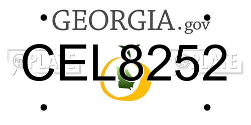 CEL8252 Georgia License Plate
