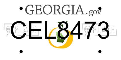 CEL8473 Georgia License Plate