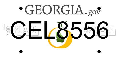 CEL8556 Georgia License Plate