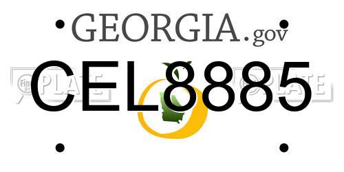 CEL8885 Georgia License Plate