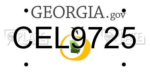 CEL9725 Georgia License Plate