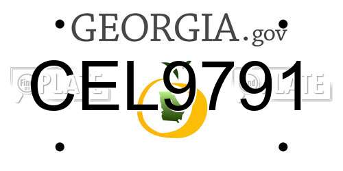 CEL9791 Georgia License Plate