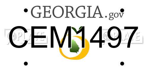 CEM1497 Georgia License Plate