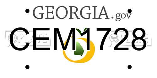 CEM1728 Georgia License Plate