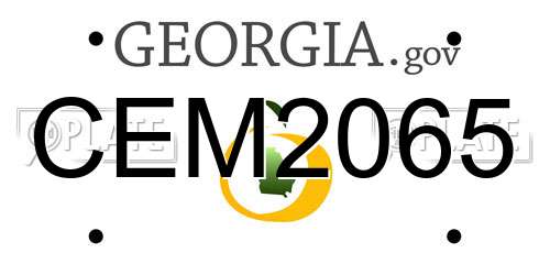CEM2065 Georgia License Plate