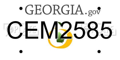 CEM2585 Georgia License Plate
