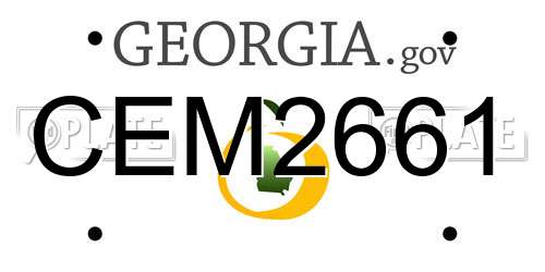 CEM2661 Georgia License Plate