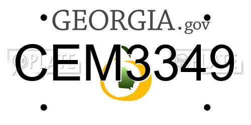 CEM3349 Georgia License Plate