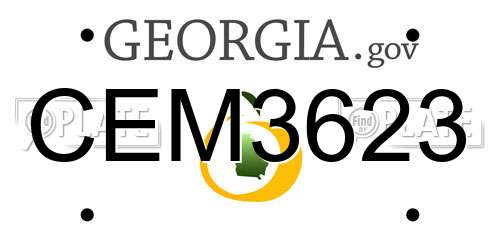 CEM3623 Georgia License Plate
