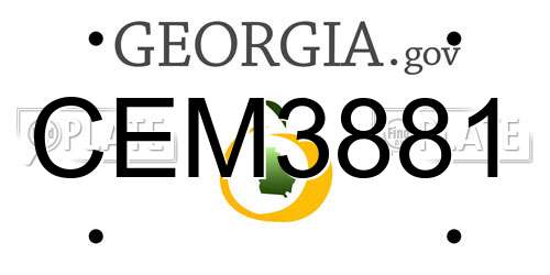 CEM3881 Georgia License Plate