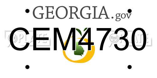 CEM4730 Georgia License Plate