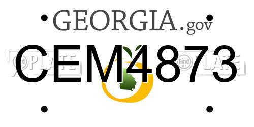 CEM4873 Georgia License Plate