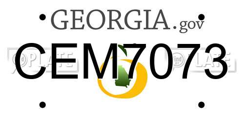 CEM7073 Georgia License Plate