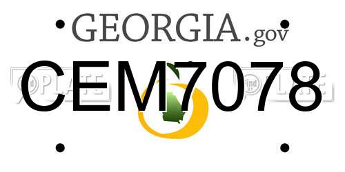 CEM7078 Georgia License Plate