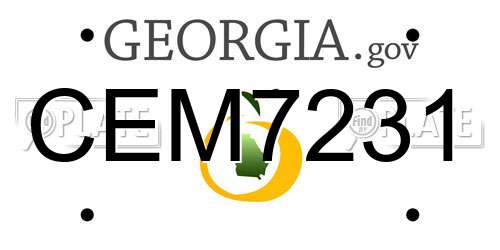 CEM7231 Georgia License Plate