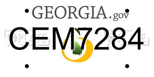 CEM7284 Georgia License Plate