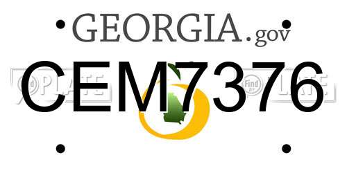 CEM7376 Georgia License Plate