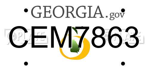CEM7863 Georgia License Plate