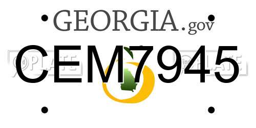 CEM7945 Georgia License Plate