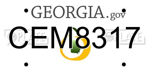 CEM8317 Georgia License Plate