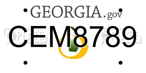 CEM8789 Georgia License Plate