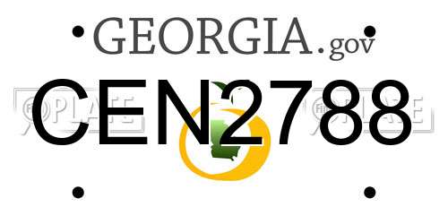 CEN2788 Georgia License Plate
