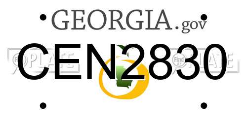 CEN2830 Georgia License Plate
