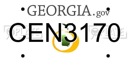 CEN3170 Georgia License Plate