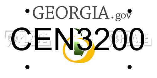 CEN3200 Georgia License Plate