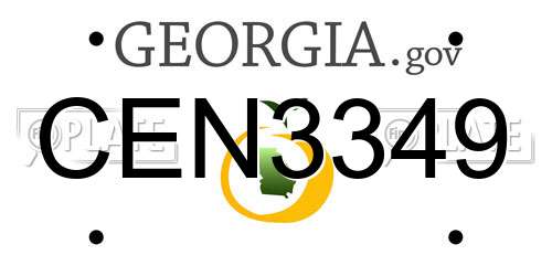 CEN3349 Georgia License Plate