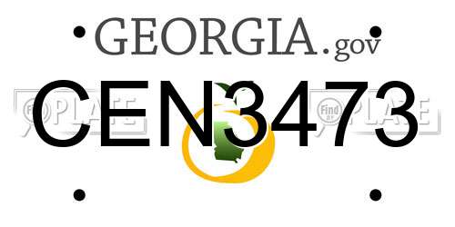CEN3473 Georgia License Plate